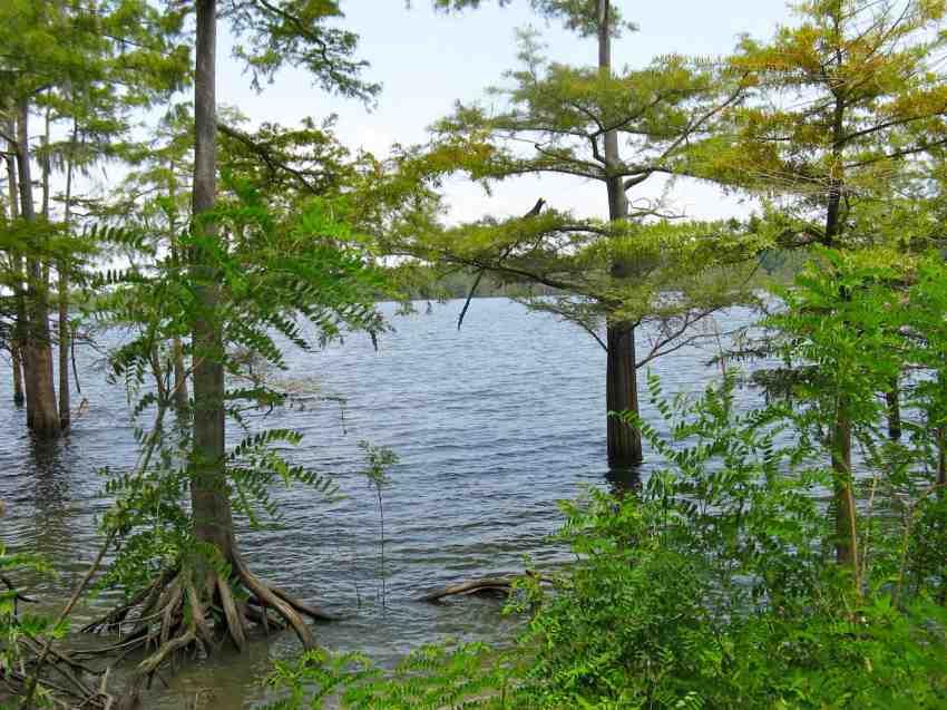 Lake Mary Wilkinson County Mississippi